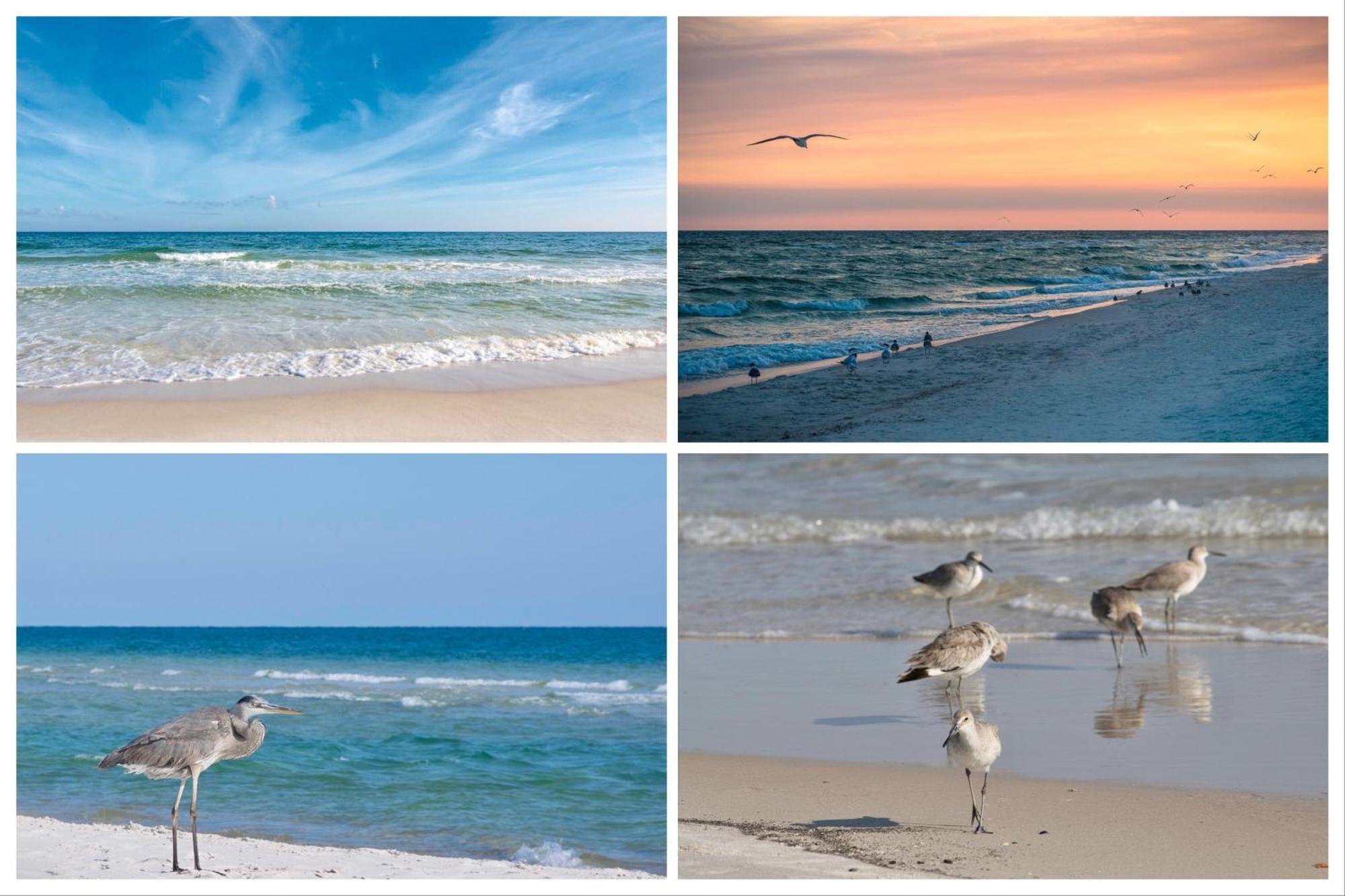 Island Winds East Unit 401 Villa Gulf Shores Phòng bức ảnh